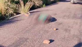 Dos ejecutados en las últimas horas