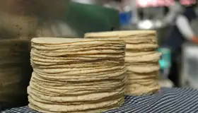 Mi principal preocupación es la tortilla: AMLO