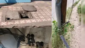 Provoca afectaciones robo de cableado en el centro de la ciudad