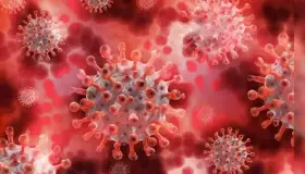 Detectan en México primer caso de 'Centauro', subvariante de Covid-19