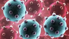 Alertan por primer caso de influenza aviar AH5N1 México