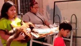 Llevarán campaña de esterilización de mascotas a El Cíbuta