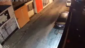 Defienden perritos la casa y ladrón cae desde la azotea