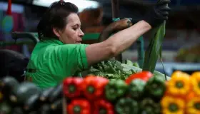 Cede inflación en México en octubre, está en 8.41% anual