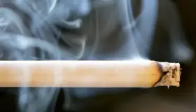 Alertan por cigarros “patito”; contienen hasta heces