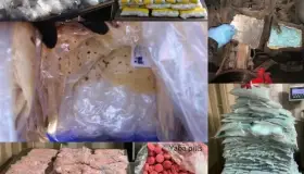 Encuentran droga en paquetes de tortillas de harina