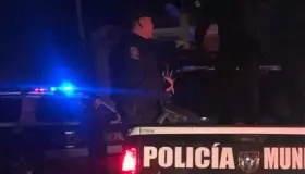 Le roban hasta las cámaras de vigilancia
