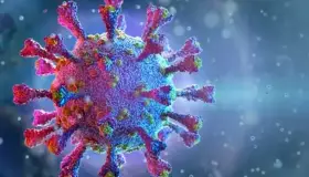 Surge nueva variante en Yucatán, su nombre Xibalbá