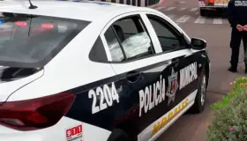 Roban estancia infantil