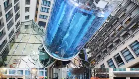 Estalla acuario en Berlín; tenía más de mil 500 peces