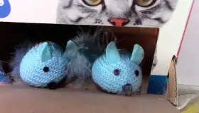 Consejos de regalos para las mascotas