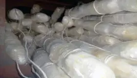 Asegura Sedena fentanilo y metanfetamina en Nogales