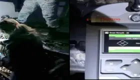 Decomisan en Sonora droga y vehículo