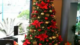 Cuestan decoraciones navideñas “austeras” entre 3 mil a 5 mil pesos