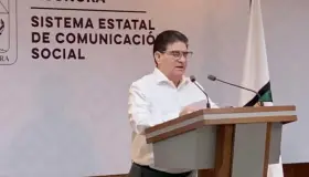 Detectan modalidad de tráfico de armas y drogas por paquetería