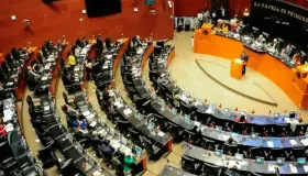 Busca Senado frenar armamento 3D legalmente