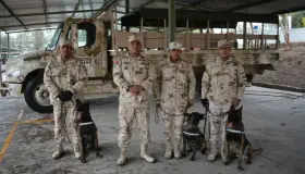 Binomios Canófilos, clave en operaciones del Ejército Mexicano