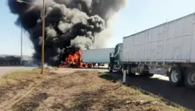 Fuerzas de seguridad deben permanecer en alerta en Sonora: Paz Pellat