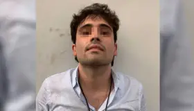 Atentos por efecto “cucaracha” tras detención de Ovidio: JGN