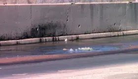 Denuncian fuga de aguas negras en bulevar 2 Mil