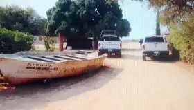 Investiga FGJE muerte de perros en Caborca