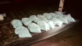 Aseguran 15.5 kilos de fentanilo en Navojoa