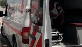 Muerden perros a sexagenaria