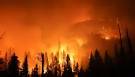 Manda México brigadistas para controlar incendio en Chile