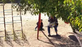 Presenta complicaciones aplicación CBP One