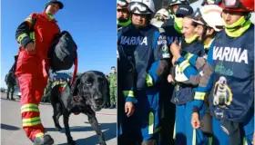 Delegación mexicana de rescatistas llega a Turquía