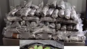 Decomisan más de 300 mil pastillas de fentanilo