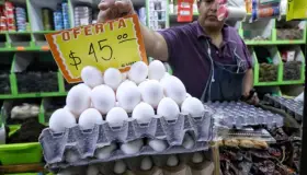 Precio del huevo está por las nubes en la CDMX, hasta en 55 pesos el kilo