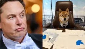 Nombra Elon Musk a su perro como CEO de Twitter: Es muy bueno para los números