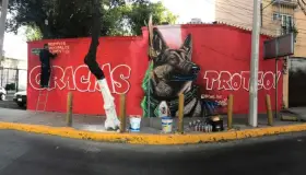 Hacen mural de Proteo, en honor por su labor de rescatista