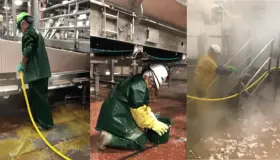 Multan a empresa cárnica por explotación laboral de niños