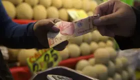 Retrocede inflación de México en la primera quincena de febrero