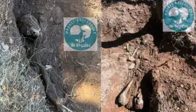 Encuentran más osamentas en La Mesa