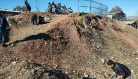 Participa Proximidad Social en jornada de limpieza