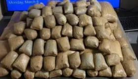 Logra canino decomisos de drogas en garita de Arizona