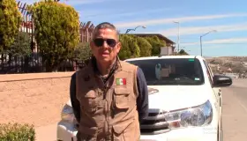 Reportan enjambres de avispas en escuelas