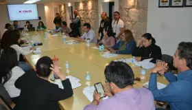 Derriba familia árbol de bellota y reciben multa de 89 mil pesos