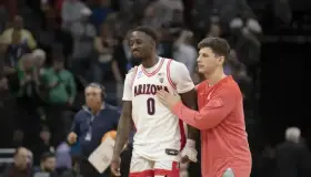 Dan adiós a los Gatos