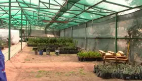 Llega la primavera y con ello la importancia de saber que se puede plantar