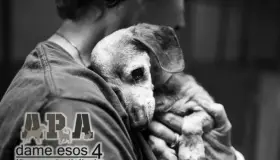 APA cumple 8 años de rescate animal en Nogales