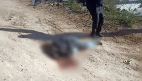 Fallece hombre al ser atropellado por conductor ‘fantasma’