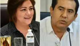 Peleará PAN elección de Guadalupe Taddei y Jorge Montaño en INE