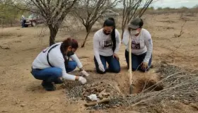 Hay 9 aspirantes a titular de Comisión Estatal de Búsqueda
