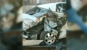 Impacta “mole de hierro” a automóvil