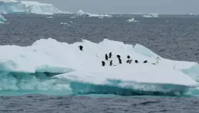 Alerta ONU por derretimiento de glaciares en tiempo récord
