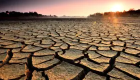 Estrés hídrico impactaría el desarrollo de México: estudio